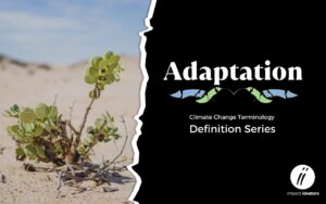 Adaptation - Definition Series