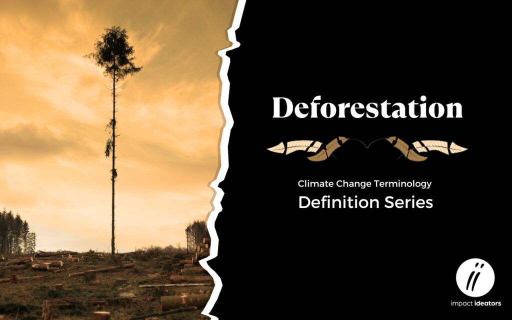 Deforestation - Climate Change Definition Series