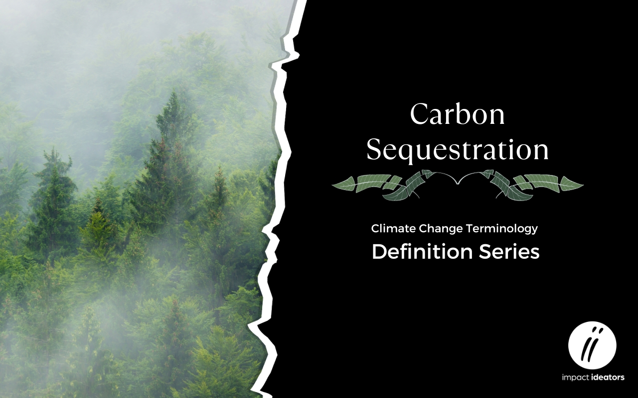 Carbon Sequestration