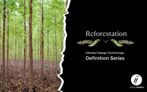 Reforestation